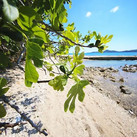 Mobile Plumeria 2 * Biograd Na Moru