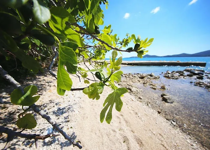Mobile Plumeria 2 * Biograd Na Moru